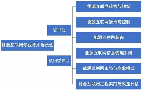 IEEE PES能源互聯(lián)網(wǎng)專(zhuān)委會(huì)成立大會(huì)暨2018 IEEE EI2學(xué)術(shù)會(huì)議在京隆重召開(kāi)，北京網(wǎng)絡(luò)技術(shù)服務(wù)行業(yè)迎來(lái)新機(jī)遇